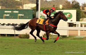 Questo Mi Piace 09.09