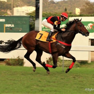 Questo Mi Piace (Tiger Heart) criação Santarém vence a 3ª na Gávea, Khodynka criada no Santarém vence a 2ª