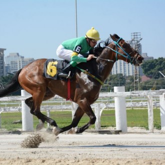 Quilunje criação do Hs Santarém vence a 4ª carreira em Cidade Jardim em excelente marca