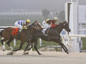 Rainha Pioneira 14.09