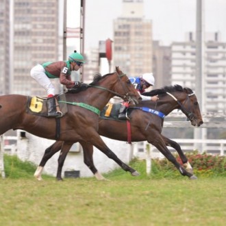 Royal Forestry e Rock King criados no Santarém para o Haras Belmont seu criador,  chegam em primeiro e terceiro na Prova Especial Quari Bravo
