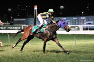 Pirata Inglês 01.10