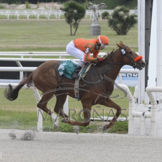 SINABUNG criação do Haras Santarém vence Clássico em Maroñas