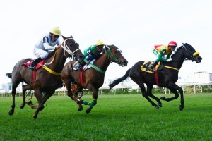 Sora Marguerita 20.10