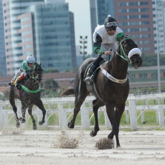 Symbolus (Discreet Cat) e Pioppo (Tiger Heart) fazem ponta e dupla do Santarém na Prova Especial em CJ, Rafiq (Pioneering) também do Santarém vence no Cristial
