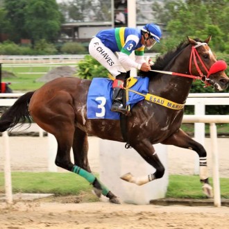 DATSPEAKER criado no Santarém vence  na Gávea sua 8ª carreira