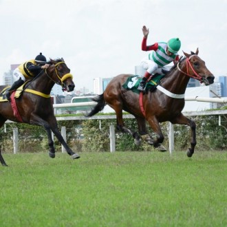 Rock KIng criado no Santarém volta a vencer em CJ, Relúcere criação SAntarém vence em CJ