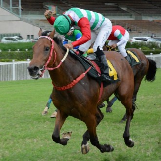 Rock King criado no Santarém vence a 3ª carreira na Prova Especial P. C. O. R.