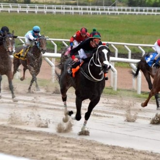 TEA AT FIVE e WOZZECK criados no Santarém vencem em Las Piedras  e Cristal