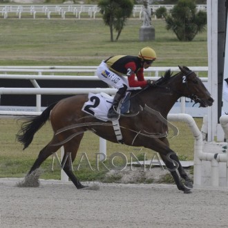 Holly Legal e Tea At Five criados no Santarém vencem em Maroñas