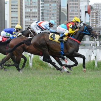 Ochentón criação Santarém vence a 7º carreira em CJ