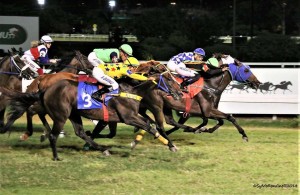 Pirata Inglês 18.12