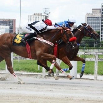 Richiesta criação Hs Santarém e irmã de Perbene vence Listed em CJ