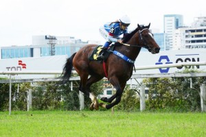 Royal Forestry GP Consagração