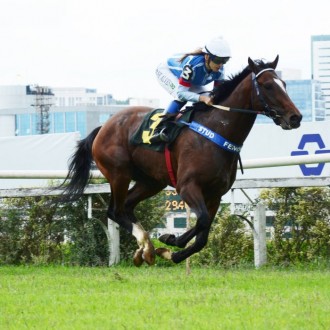 ROYAL FORESTRY criado no Santarém vence GP Consagração (G3), Sédulus também do Santarém na dupla