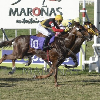 THE BUTELER criado no Santarém vence em Maroñas