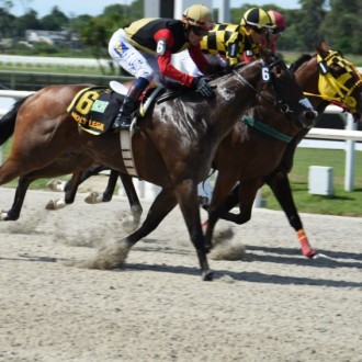 Holly Legal criada no Santarém para o Haras Belmont vence em recorde o GP Maroñas (G2), Sinabung criação Haras Santarém chega 2º na milha da semana máxima Uruguaia