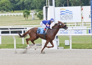 Sinabung - 20.01 Cl F Y A Milia