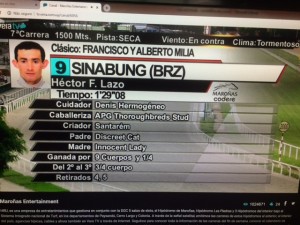 Sinabung 27.01 criador stud