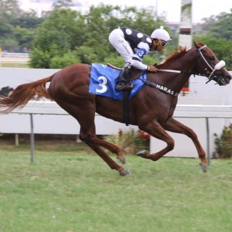 Tilt To Disc criado no Santarém como pensionista vence na Gávea