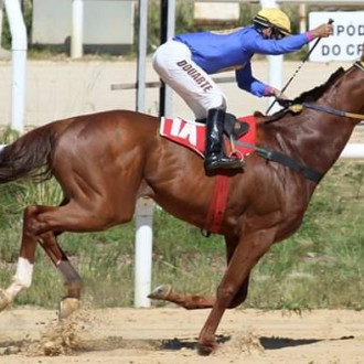 Rafiq (Pioneering) criação Santarém vence no Cristal sua 5ª carreira
