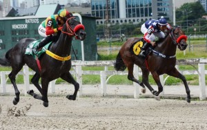 Señor de Orgaz 16.02