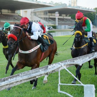 Sora Margherita criada no Santarém para Paulo Rodolfo Fischer chega 2º GP Hernani Azevedo Silva (G2)