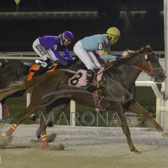 Summus (Pioneering) criação Santarém vence em Maroñas