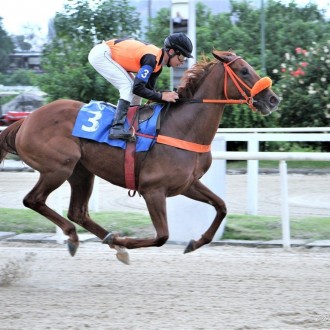 Risolutezza (Pioneering) criação Santarém vence a 3ª na Gávea