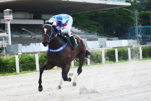 Royal Forestry PE Zenabre