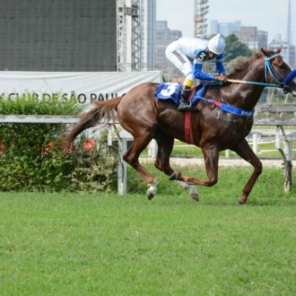 Verdi di Giuseppe e Sovereign criados no Santarém vencem