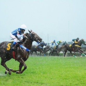 Tiger Of Joy (Tiger Heart) criado no Santarém como pensionista vence Grupo 3 em CJ