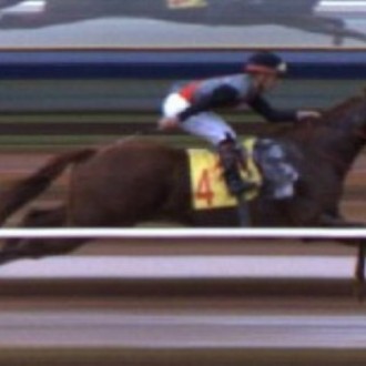 BRUTUS filho de Tiger Heart vence GP Baluartes da Cancha Reta em Carazinho para o Hs Rio Iguassú