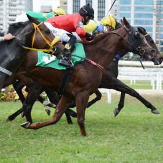 Relúcere criação Santarém vence em CJ