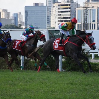 TWEET vence GP João Cecílio Ferraz (G1) e confirma liderança da geração da crioula do Hs Santarém / Stud Capone
