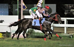 American Reason 09.06