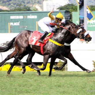 Pensionistas do Santarém vencem na Gávea e Cristal