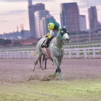 RAF filho de Impression, criação do Haras Santarém vence Prova Especial Max Perlman