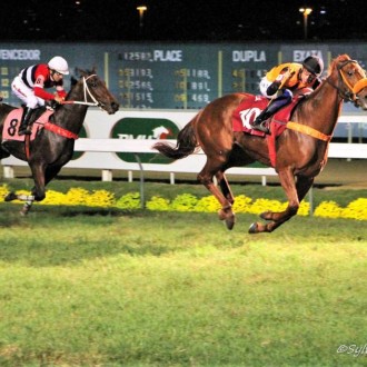 Risolutezza (Pioneering) criação Santarém vence a 4ª na Gávea