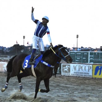 Royal Forestry criado no Santarém como pensionista vence o Derby Paranaense