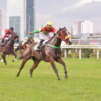 SURPRISING recriada e vendida pelo Haras Santarém vence Listed em Cidade Jardim