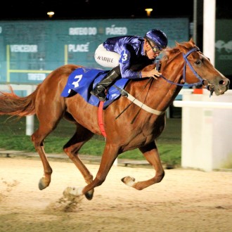 Yevgueni Oneguin criado no Haras Santarém para Hs Tributo à Ópera vence na Gávea