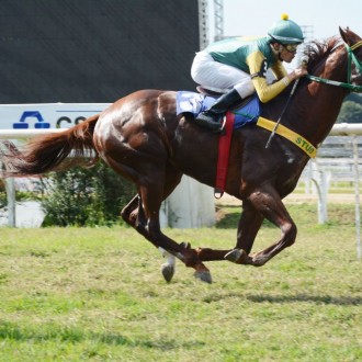 Dois pensionistas do Santarém vencem na Gávea e CJ