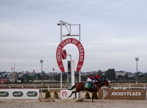 Ginger Touch -chegada 21.07