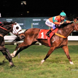 KHODYNKA criada no Santarém vence a 4ª carreira na Gávea