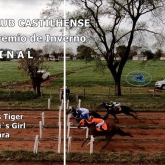 Filha de Tiger Heart vence penca