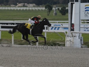 Rainha Pioneira 07.07