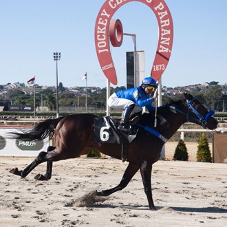 Takashi (Pioneering) criação Hs Santarém vence na estreía no Tarumã