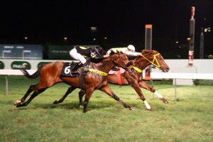 Verdi-Giuseppe-03.07