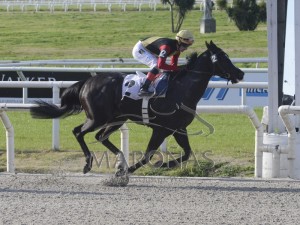 Rainha Pioneira 11.08